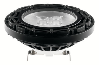 Landscape Led LED Landscape Lamp in Black (12|18178)