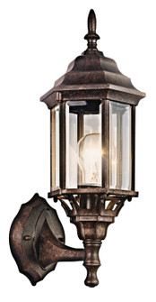 Chesapeake One Light Outdoor Wall Mount in Tannery Bronze (12|49255TZ)