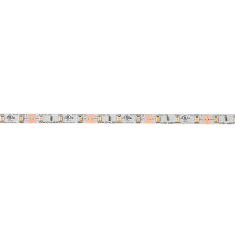 4Tl Dry Tape 12V LED Tape Light in White Material (Not Painted) (12|4T1100H30WH)
