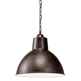 Missoula One Light Pendant in Bronze (12|78200)