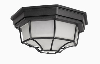 Crown Hill Two Light Outdoor Ceiling Mount in Black (16|1020BK)