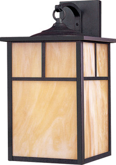 Coldwater One Light Outdoor Wall Lantern in Burnished (16|4054HOBU)
