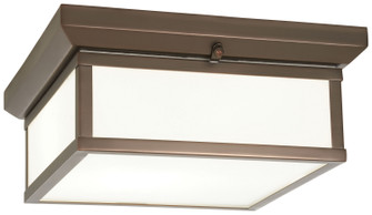 Two Light Flush Mount in Harvard Court Bronze (7|6919-281)