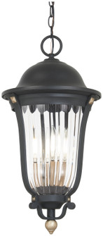 Peale Street Four Light Outdoor Chain Hung in Sand Coal And Vermeil Gold (7|73237-738)
