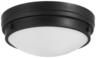 Two Light Flush Mount in Coal (7|823-66A)