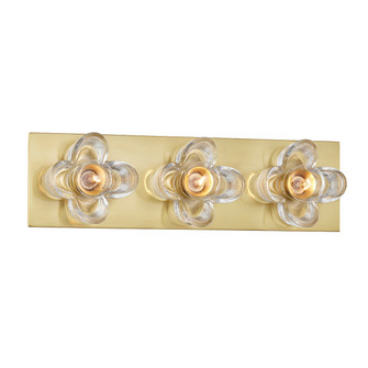 Shea Three Light Bath and Vanity in Aged Brass (428|H410303-AGB)
