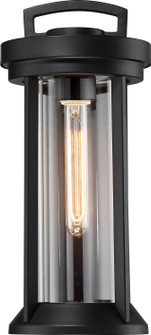 Huron One Light Outdoor Wall Lantern in Aged Bronze (72|60-6502)