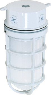 One Light Ceiling Mount in White (72|SF76-616) One Light Ceiling Mount in White (72|SF76-616)