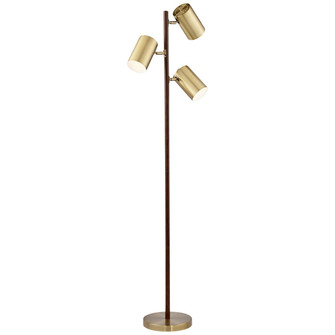 Donatello Three Light Floor Lamp in Walnut finished wood (24|9R147)