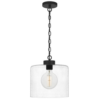 Abner One Light Mini Pendant in Matte Black (10|ABR1512MBK)