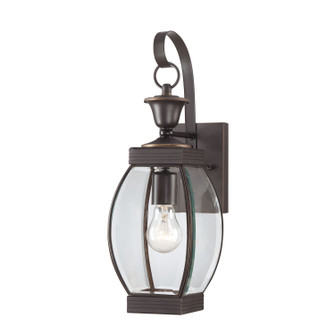 Oasis One Light Outdoor Wall Lantern in Medici Bronze (10|OAS8406Z)