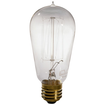 Bulbs Bulb Accessory in Clear (165|BUL06)