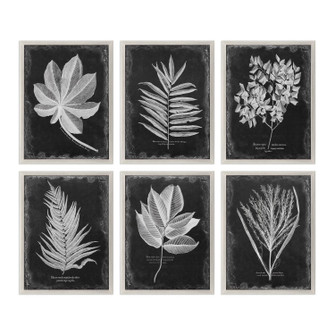 Foliage Wall Art in Champagne Silver (52|33671)