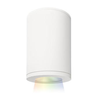 Tube Arch LED Flush Mount in White (34|DS-CD05-F-CC-WT)