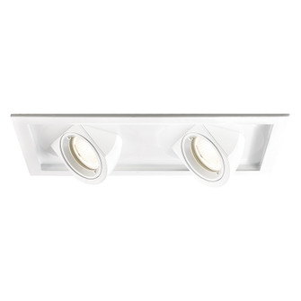 Tesla LED Multiple Two Light Trim with Light Engine in White (34|MT-5LD225T-F35-WT)