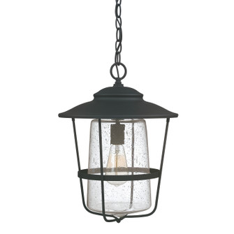 Creekside One Light Outdoor Hanging Lantern in Black (65|9604BK)