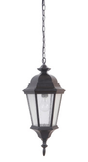 Chadwick One Light Pendant in Midnight (46|Z2911-MN)