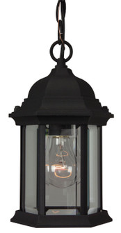 Hex Style Cast One Light Outdoor Pendant in Textured Black (46|Z291-TB)