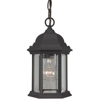 Hex Style Cast One Light Outdoor Pendant in Textured Black (46|Z291-TB)