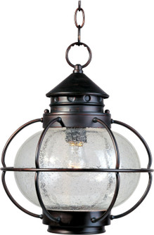 Portsmouth One Light Outdoor Hanging Lantern in Oil Rubbed Bronze (16|30506CDOI)