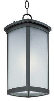 Terrace LED E26 LED Outdoor Hanging Lantern in Bronze (16|65759FSBZ)