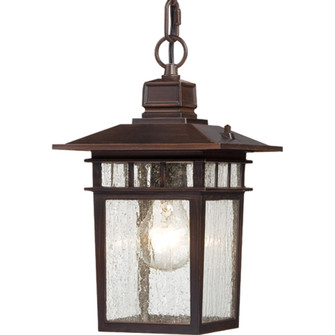 Cove Neck One Light Hanging Lantern in Rustic Bronze (72|60-4955)