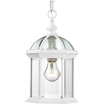 Boxwood One Light Hanging Lantern in White (72|60-4977)