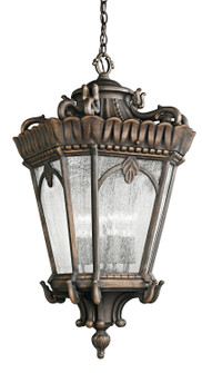 Tournai Four Light Outdoor Pendant in Londonderry (12|9564LD)