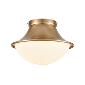 Matterhorn One Light Flush Mount in Natural Brass (45|89125/1)