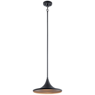 Elias LED Outdoor Pendant in Textured Black (12|59031BKTLED)