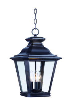 Knoxville Three Light Outdoor Hanging Lantern in Bronze (16|1139CLBZ)