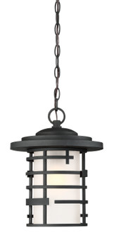 Lansing One Light Hanging Lantern in Textured Black (72|60-6405)