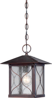 Vega One Light Hanging Lantern in Classic Bronze (72|60-5614)