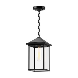 Larchmont One Light Exterior Pendant in Clear Glass/Textured Black (452|EP552009BKCL)