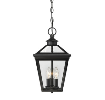 Ellijay Three Light Hanging Lantern in Black (51|5-146-BK)