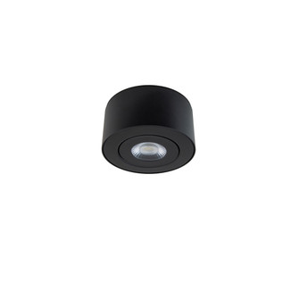 I Spy LED Outdoor Flush Mount in Black (281|FM-W44205-40-BK)