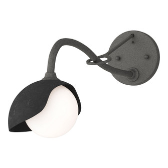 Brooklyn Brooklyn 1-Light Single Shade Long-Arm Sconce in Natural Iron (39|201376-SKT-20-10-GG0711)