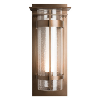Torch One Light Outdoor Wall Sconce in Coastal Oil Rubbed Bronze (39|305999-SKT-14-ZS0664)