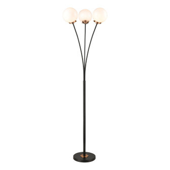 Boudreaux LED Floor Lamp in Matte Black (45|D4581)
