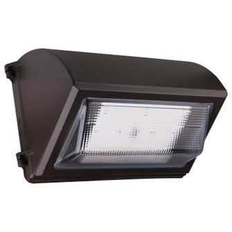 LED Wall Pack (72|65-762)