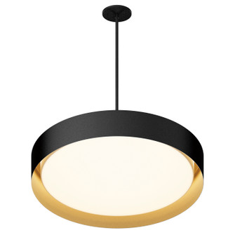 Echo LED Pendant in Black / Gold (86|E51015-BKGLD)