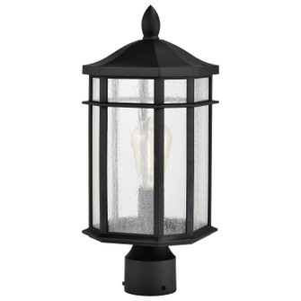 Raiden One Light Outdoor Post Lantern in Matte Black (72|60-5758)