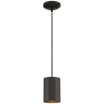 Pilson One Light Pendant in Matte Black (18|29000-MBL-C)