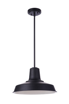 Briscoe One Light Outdoor Pendant in Midnight (46|ZA5701-MN)