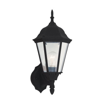 Bakersville One Light Outdoor Wall Lantern in Black (1|88941-12)