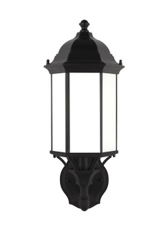 Sevier One Light Outdoor Wall Lantern in Black (1|8838751-12)