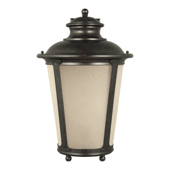 Cape May One Light Outdoor Wall Lantern in Burled Iron (1|88244-780)