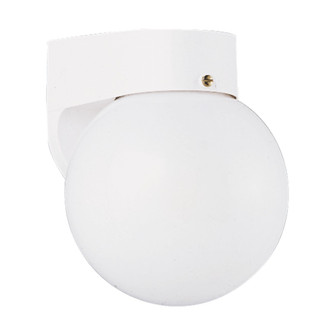 Outdoor Wall One Light Outdoor Wall Lantern in White (1|8753-15)