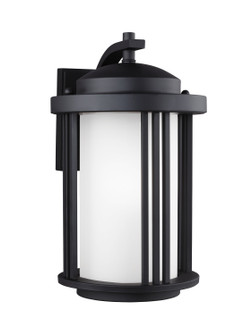 Crowell One Light Outdoor Wall Lantern in Black (1|8747901-12)