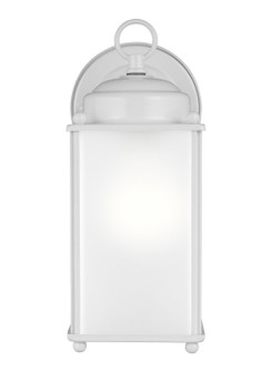 New Castle One Light Outdoor Wall Lantern in White (1|8593001EN3-15)